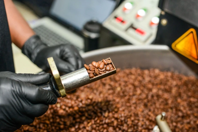 Monitor Coffee Roast Profile Kaldi Africa
